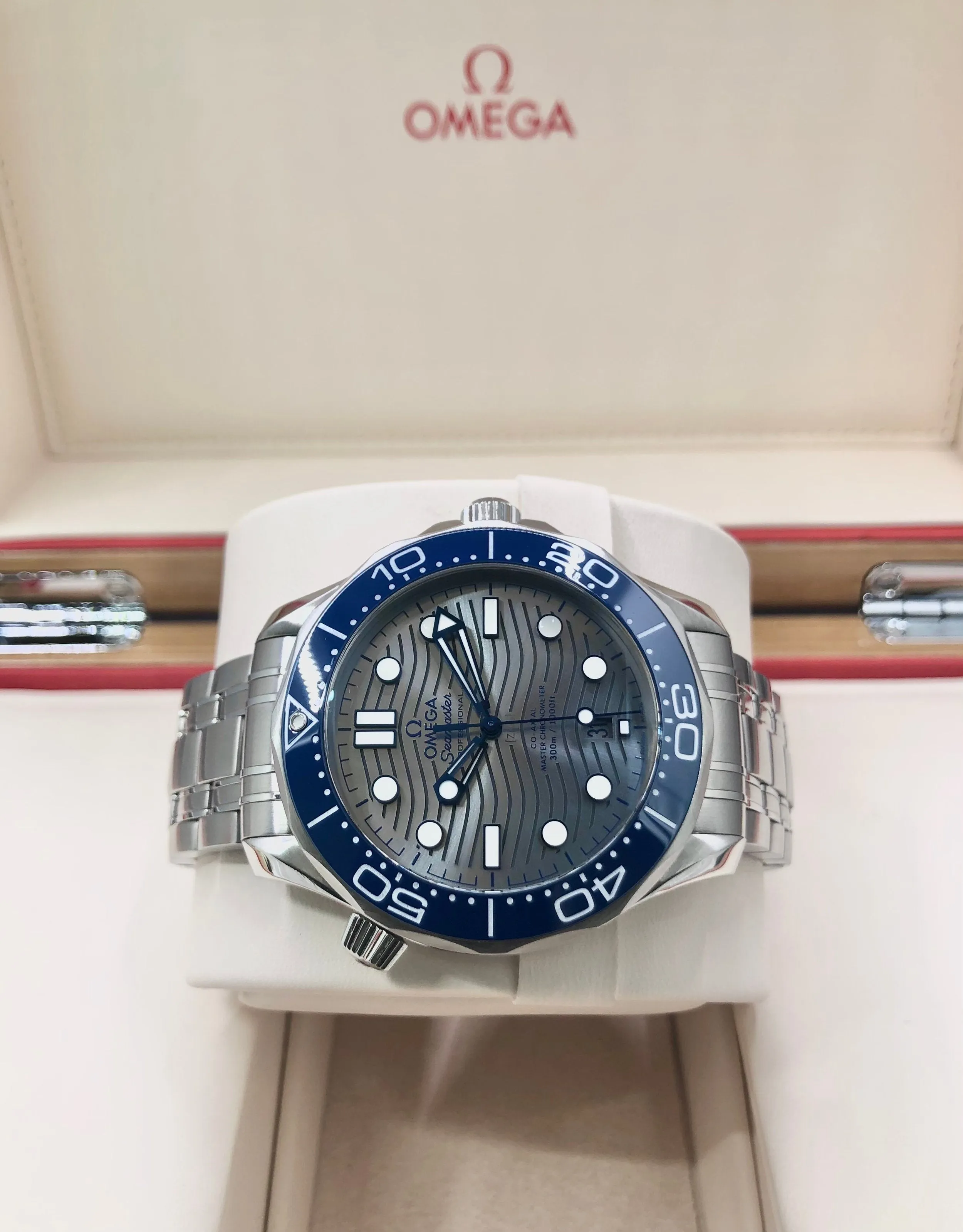 2022 Omega Seamaster