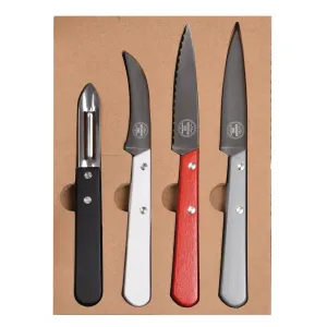 4 Piece Stainless Steel Knife Set with Beechwood Handles