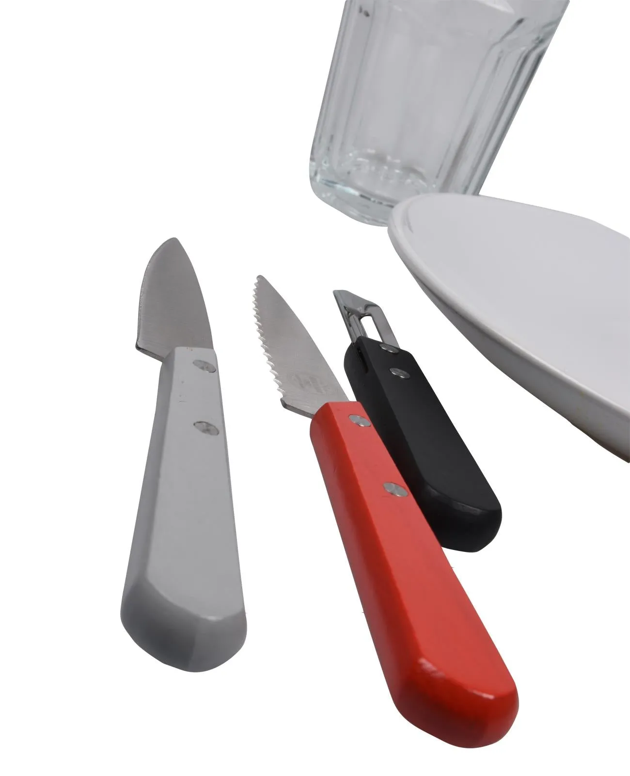 4 Piece Stainless Steel Knife Set with Beechwood Handles