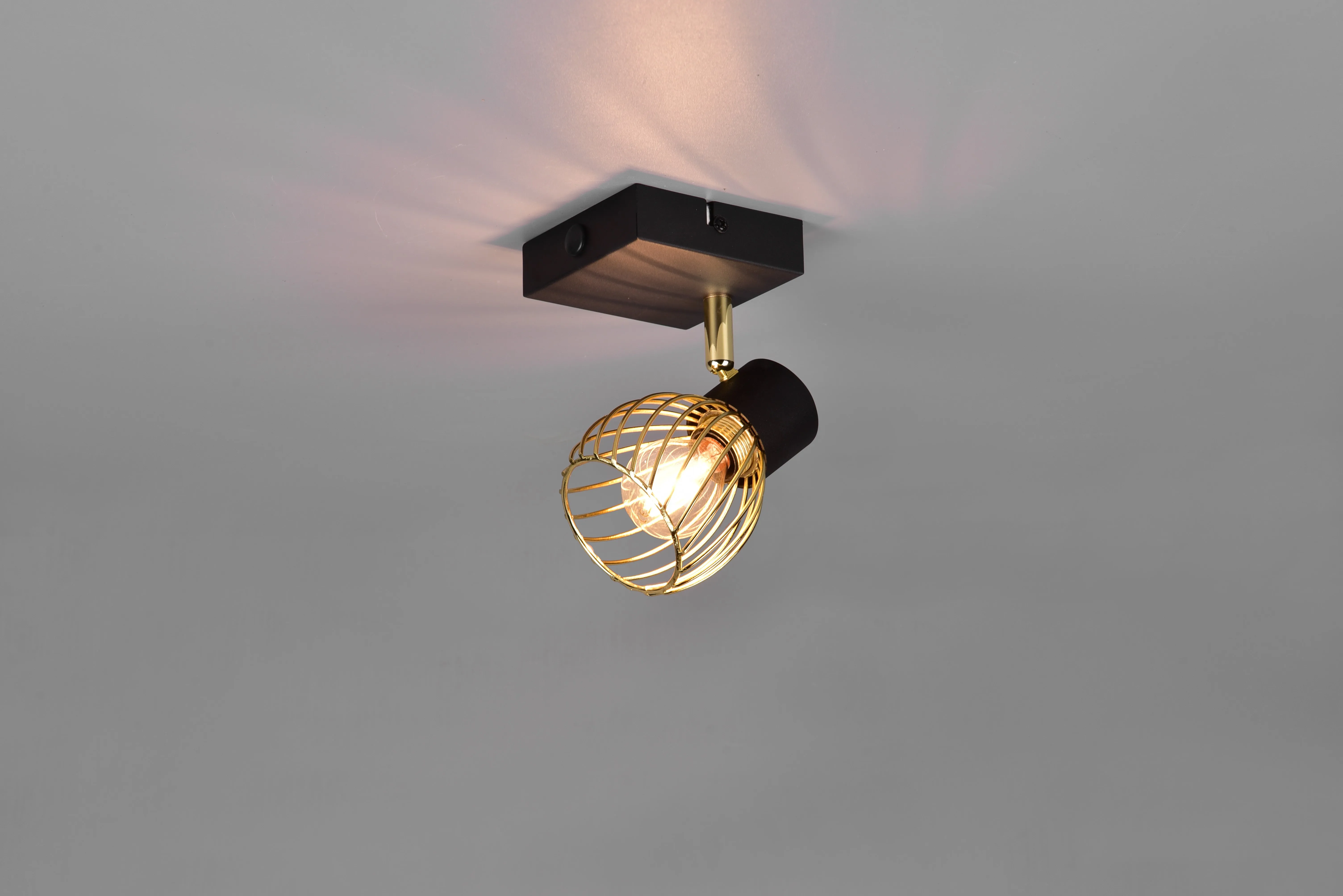 Ardon Wall/Ceiling Spotlight - Black & Gold