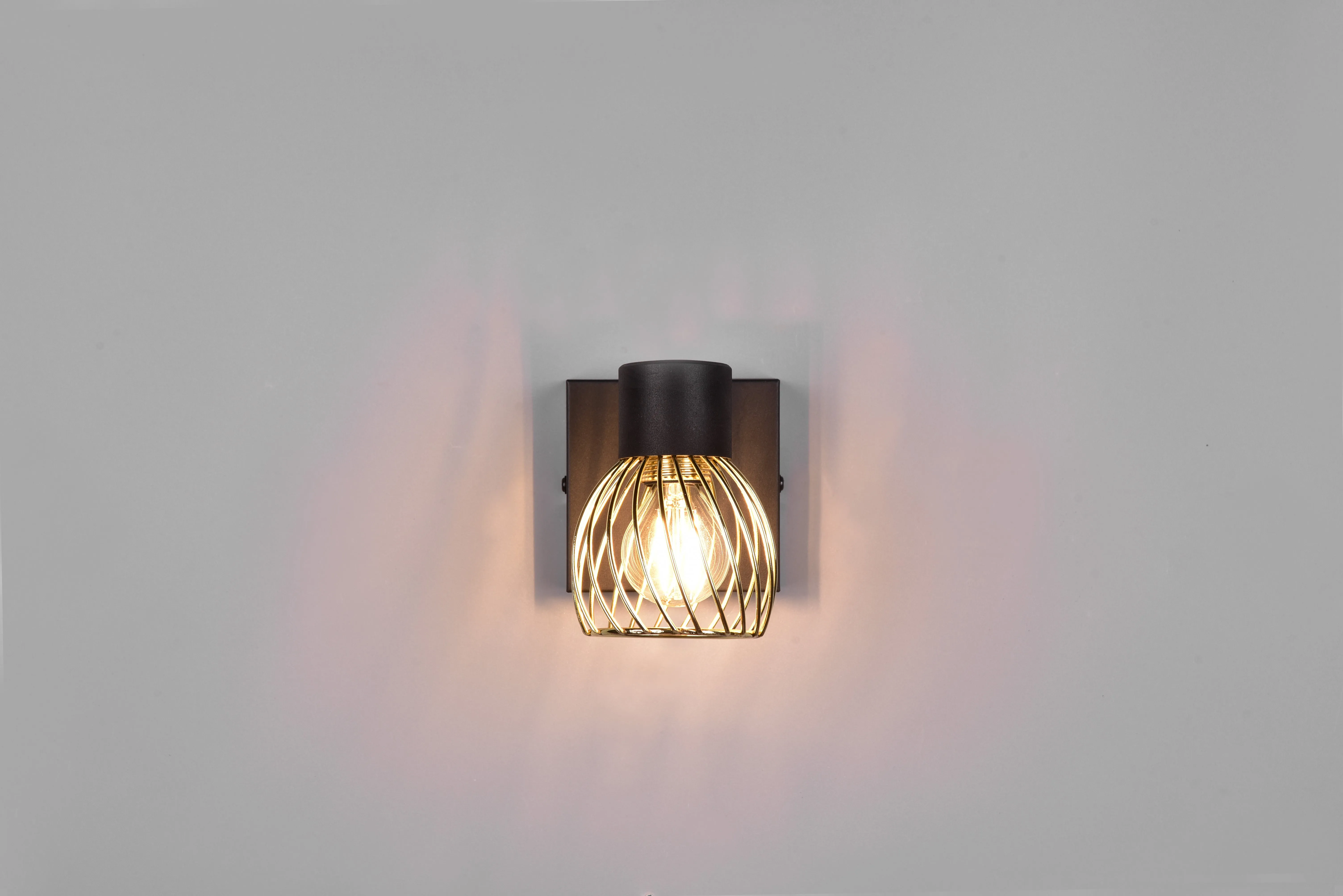 Ardon Wall/Ceiling Spotlight - Black & Gold