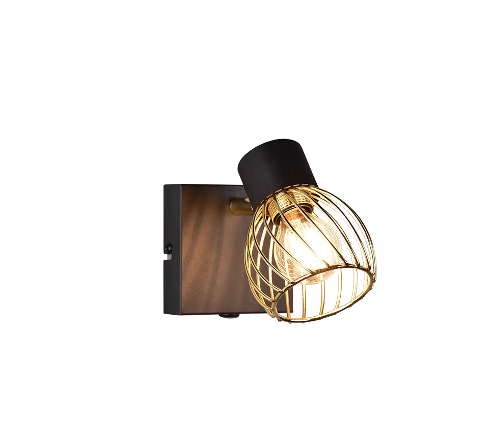 Ardon Wall/Ceiling Spotlight - Black & Gold