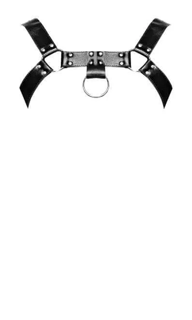 Aries Leather Harness in Black: Unleash Your Inner Dominance