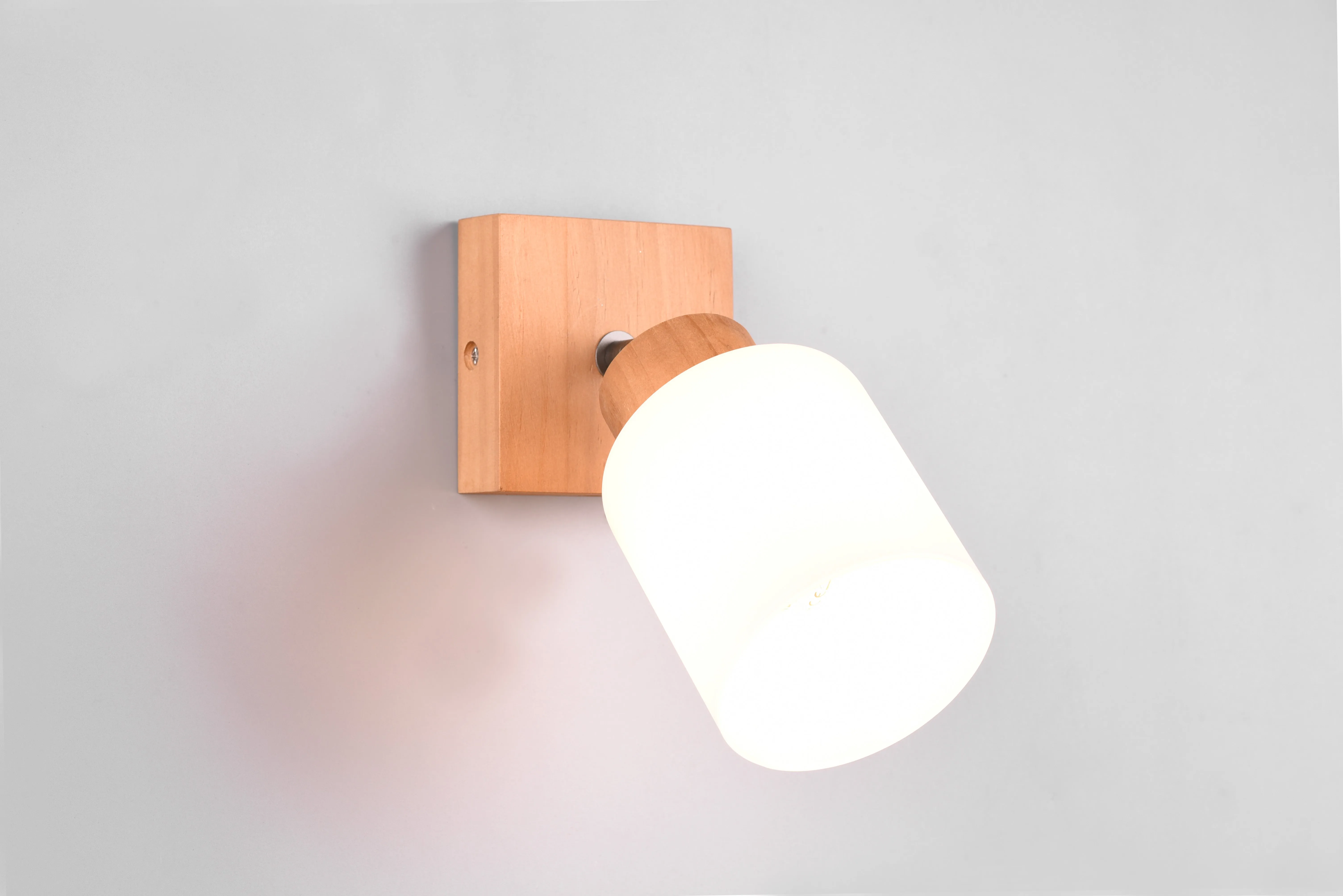 Assam Wall/Ceiling Spotlight - Wood Finish