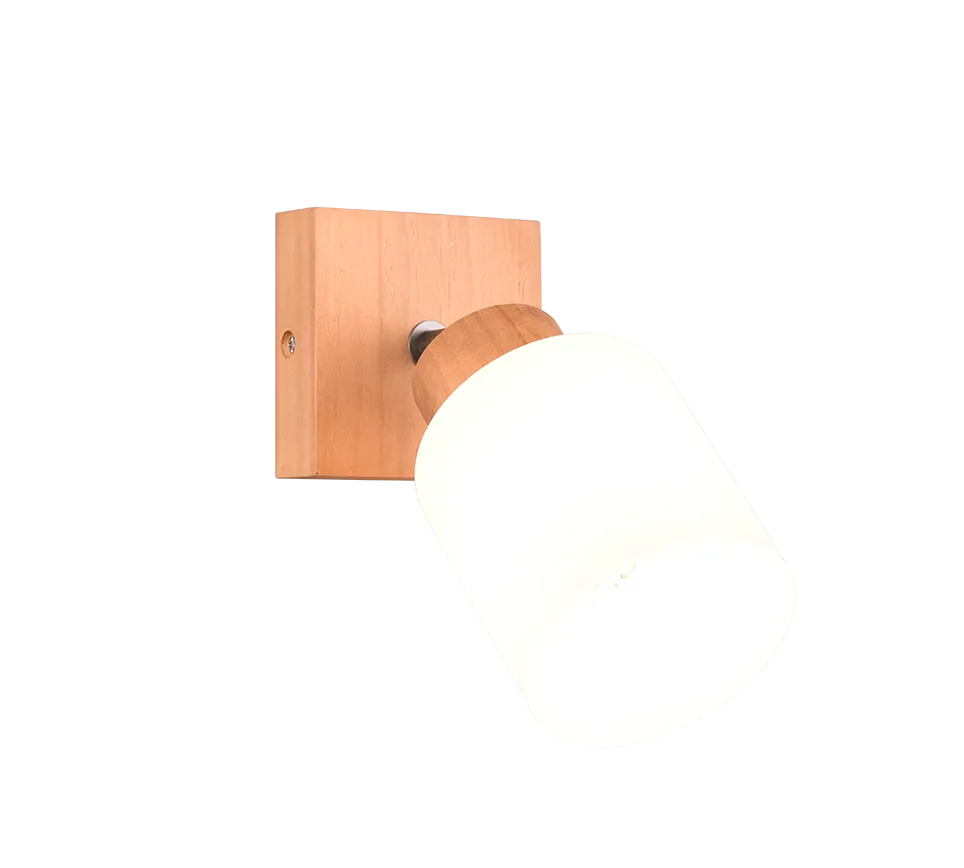 Assam Wall/Ceiling Spotlight - Wood Finish