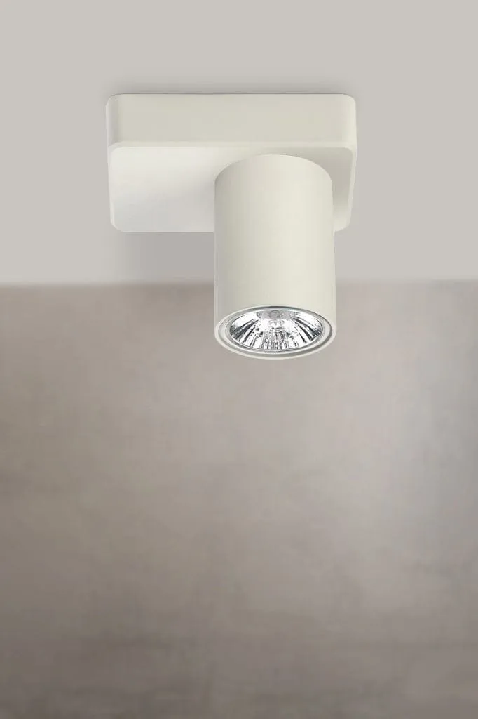 Elgin Adjustable Spotlight