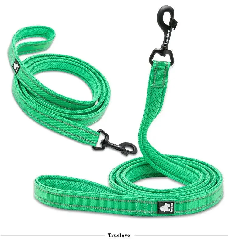 Mesh Padded Dog Leash – Comfort, Safety & Durability for Every Walk